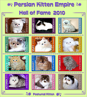 Hall of Fame 2010 - Click HERE