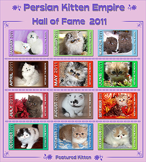 Hall of Fame 2011 - Click HERE