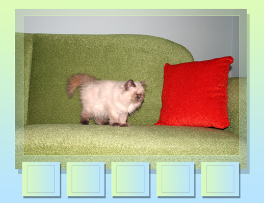 07_kiki