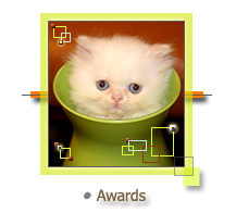 CAT Website Awards