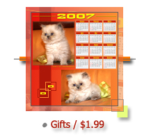 Persian Cat Calendars 2008