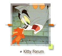 Kitty Forum - Cat Articles