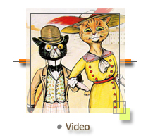 Kitten Video - Cat Video - YouTube Videos - Funny Cat Videos