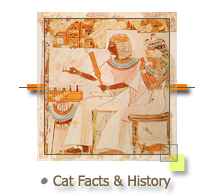 Cat Facts and History