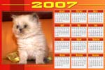 Persian Kittens for Sale