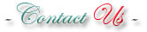 Persian Kitten Empire - Contact Us