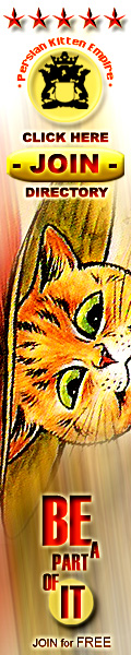 Persian Kittens for SALE - GLOBAL Breeder Directory
